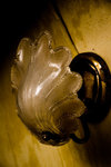 DSC7670