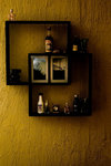DSC7681