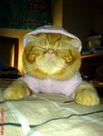 DSC00291