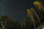 IMG_0594