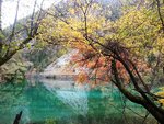 箭竹海