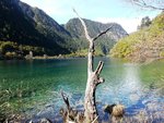 卧龍海