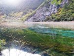 蘆葦海
