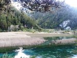 蘆葦海