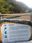 蘆葦海