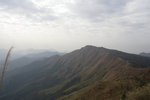 IMG_2195