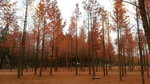 20121113_155704