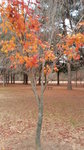 20121113_160423