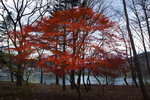 DSC09184