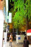 DSC09207