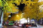 DSC09209