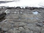 Tessellated Pavement