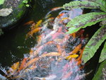 DSC03195
