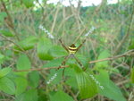 DSC03229