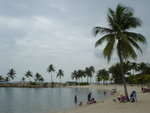 DSC03241