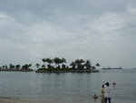 DSC03242