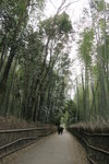 日本京都嵐山竹林小徑
Bamboo forest, Arashiyama, Kyoto, Japan竹林の小&#24452;