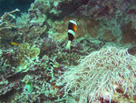 P1010171