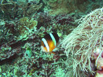 P1010172