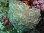 P1010176