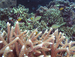 P1010177