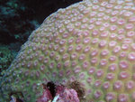 P1010178