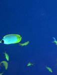 P1010193
