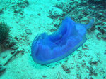 P1010216