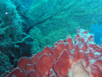 P1010230
