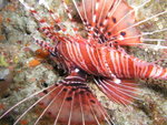 P1010282