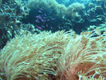 P1010346