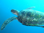 P1010351