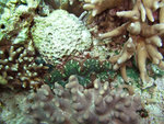 P1010355