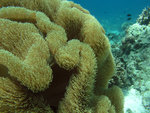 P1010356