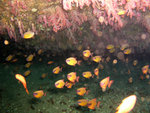 P1010875