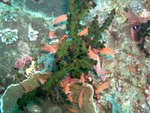 P1010881