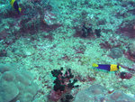 P1010884