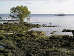 P5020733