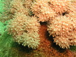 P5020744