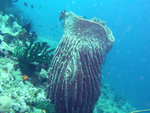 P5030800