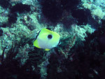P5030801