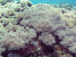 P5030803