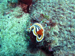 P5030812