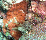 P5030819