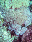P5030830