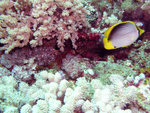 P5030835