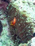 P5030838