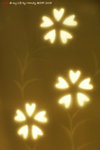 R0013081_sep2008
