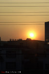 RIMG0486_c
