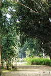 RIMG0232_c